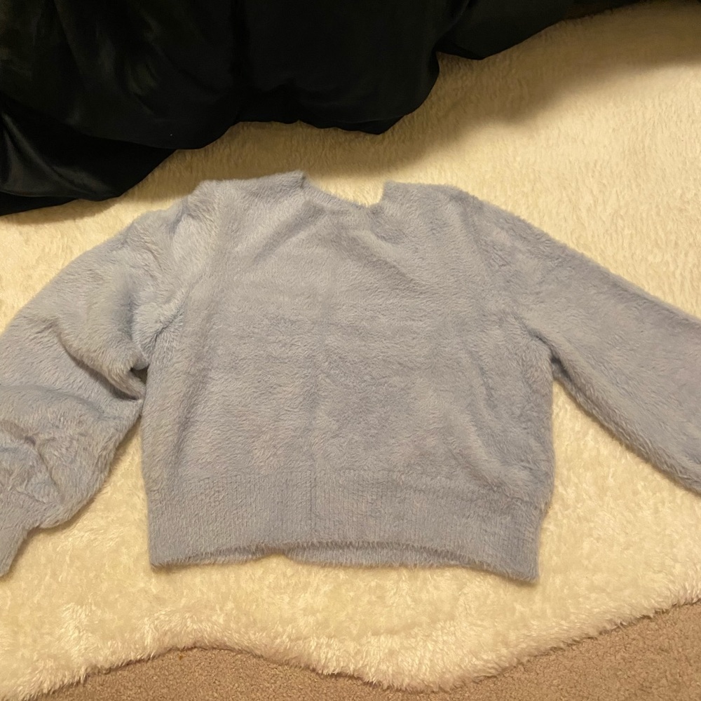 Aritzia Sunday best kitten sweater
